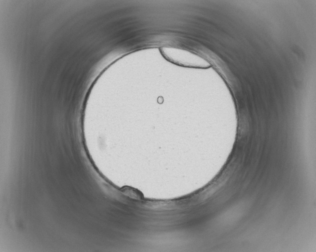 X0000115421434200912151554