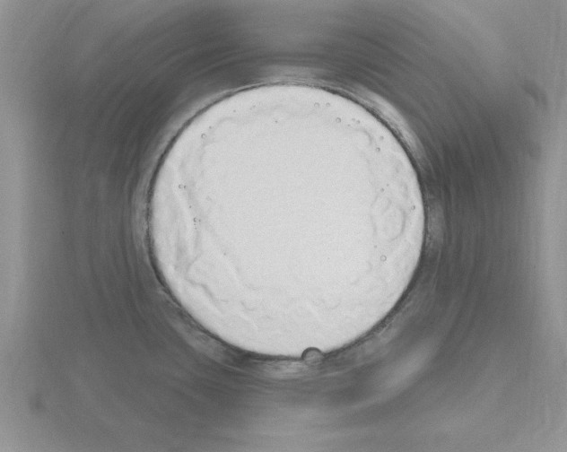 X0000115421435200912151554