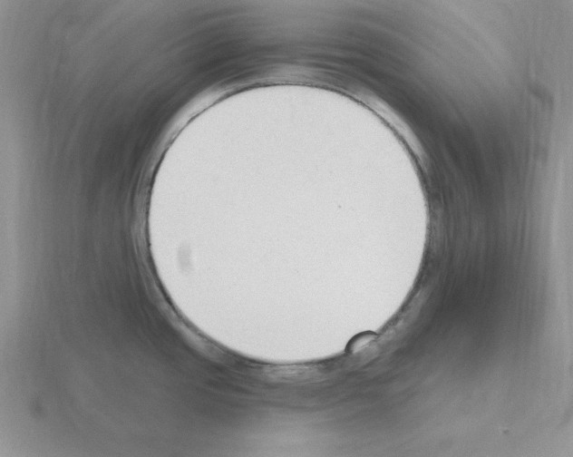 X0000115421437200912151554