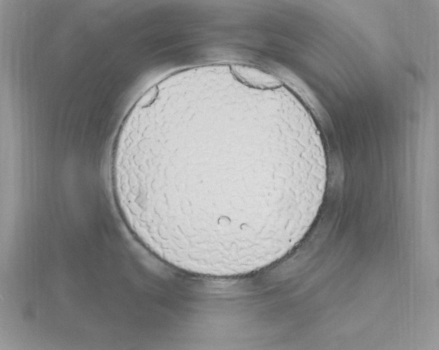 X0000115421439200912151554