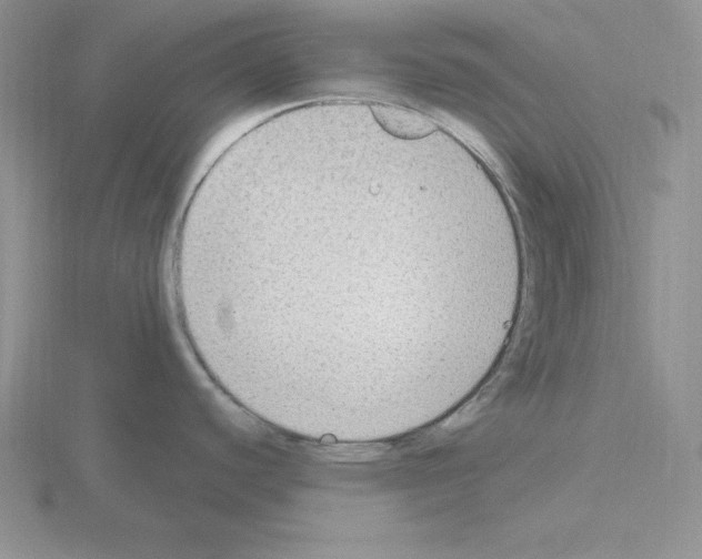 X0000115421440200912151554