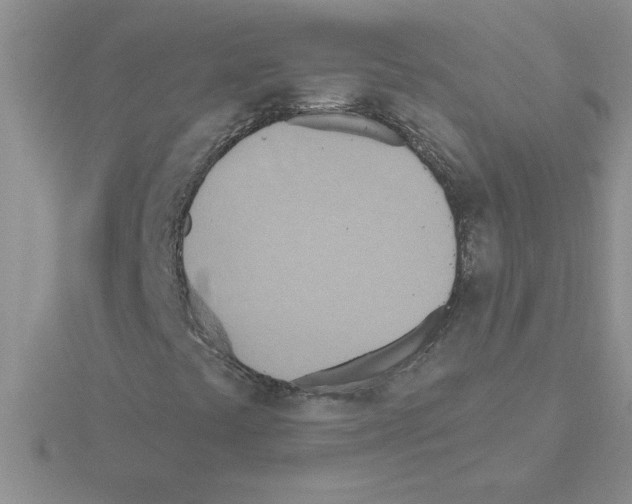 X0000115421441200912151553