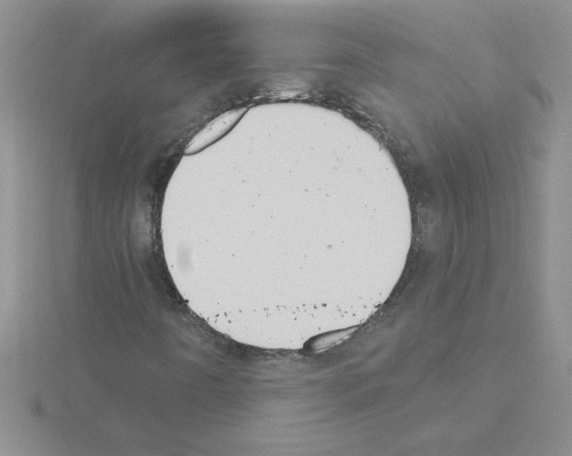 X0000115421442200912151553