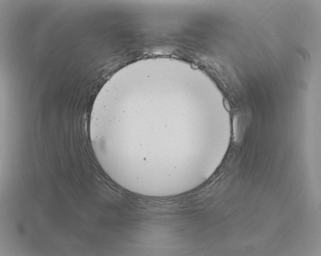 X0000115421443200912151553