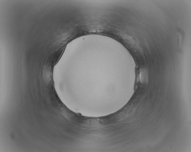 X0000115421444200912151553