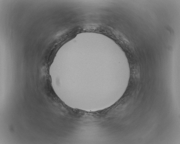 X0000115421445200912151553