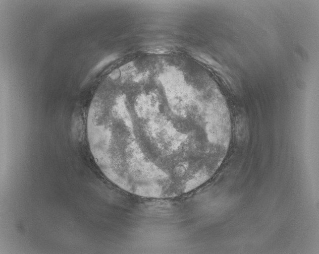 X0000115421446200912151553