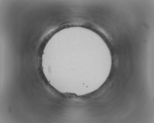 X0000115421448200912151553