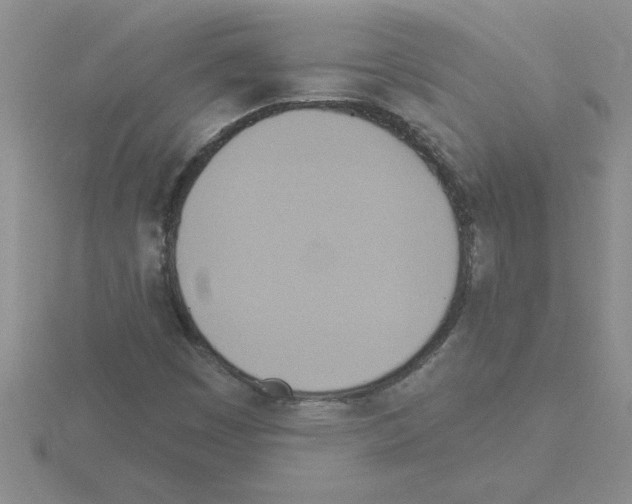 X0000115421449200912151553