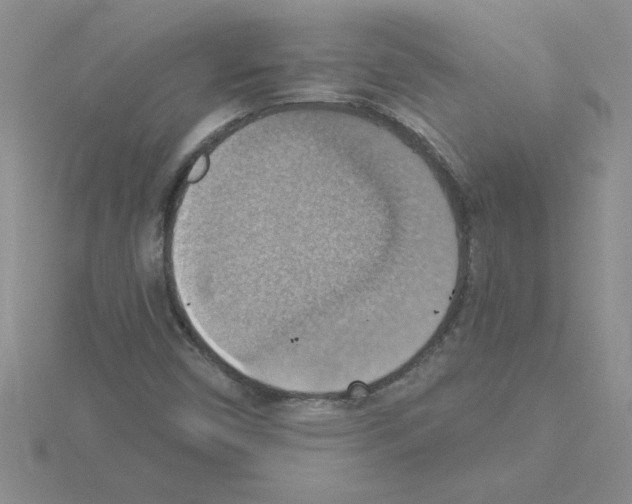 X0000115421450200912151553