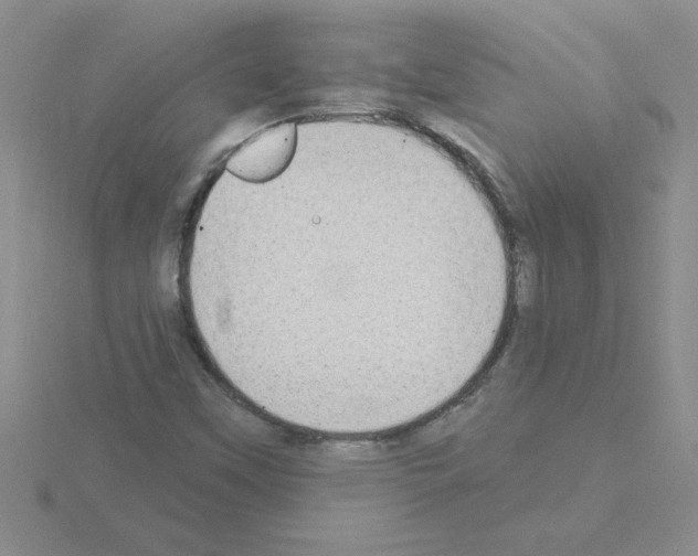 X0000115421451200912151553