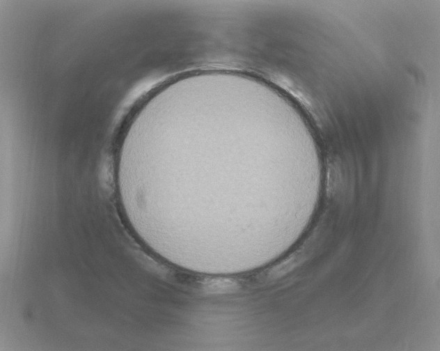 X0000115421454200912151553