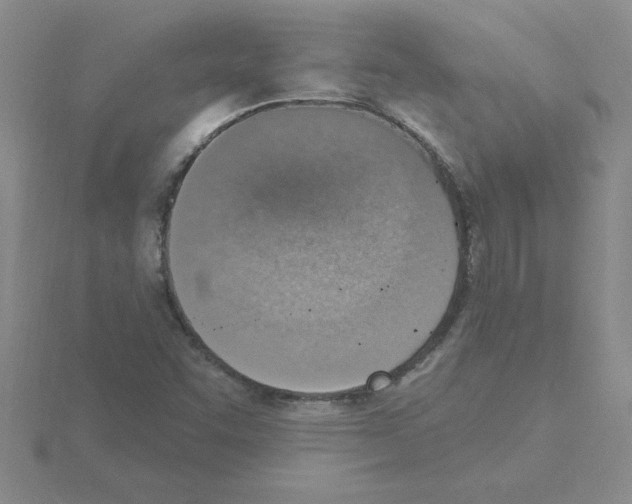 X0000115421455200912151553