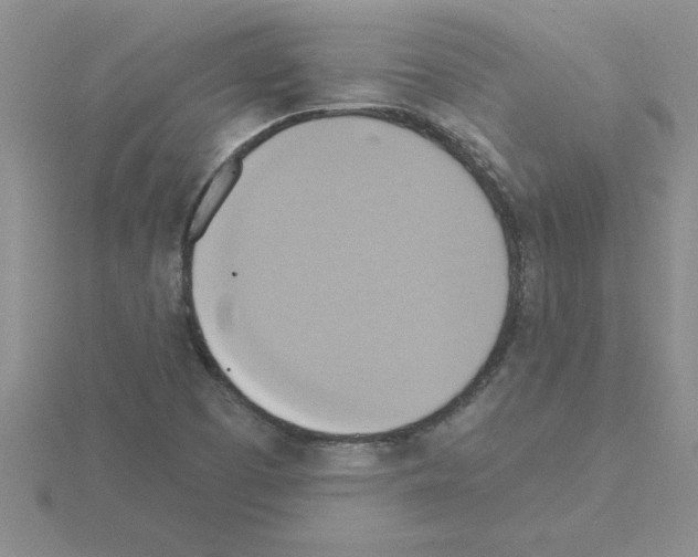 X0000115421457200912151553