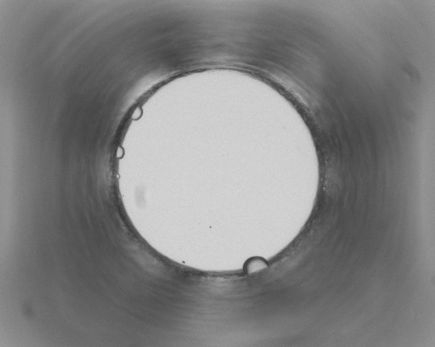 X0000115421458200912151553