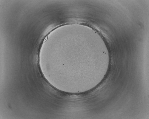 X0000115421459200912151553