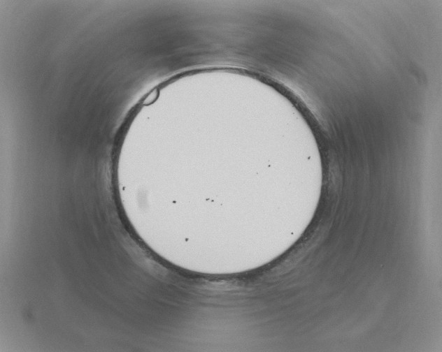 X0000115421460200912151553