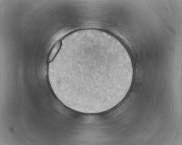 X0000115421461200912151553