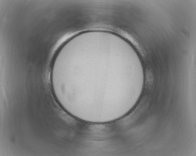 X0000115421462200912151553