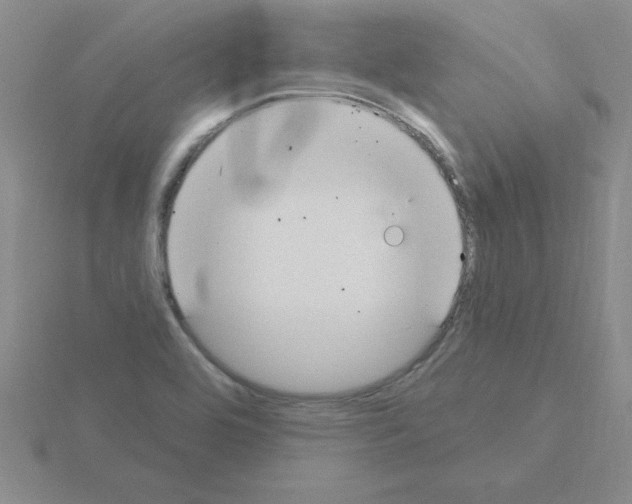 X0000115421464200912151553