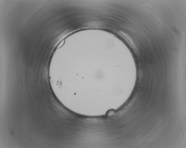 X0000115421465200912151553