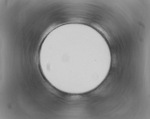 X0000115421467200912151553