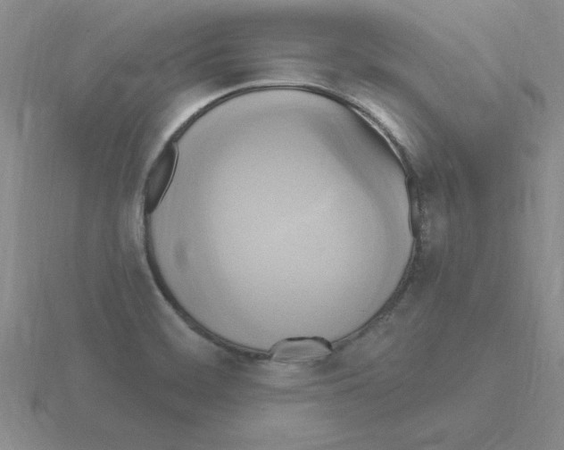 X0000115421468200912151553