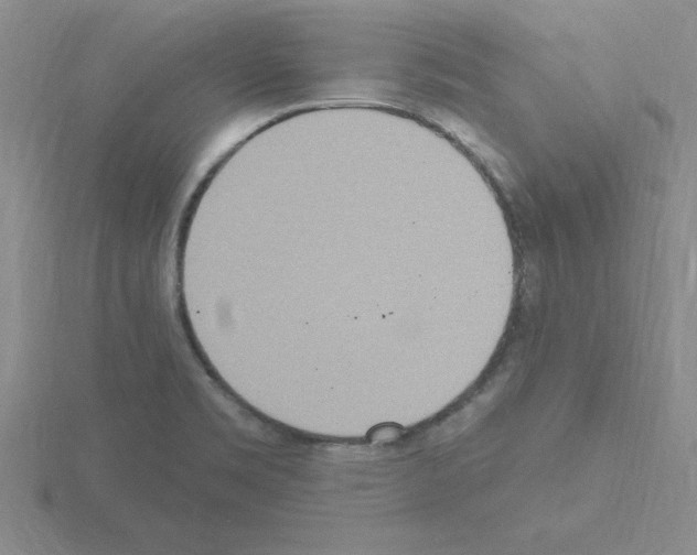 X0000115421469200912151553