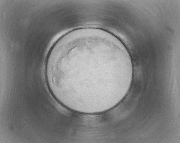 X0000115421470200912151553