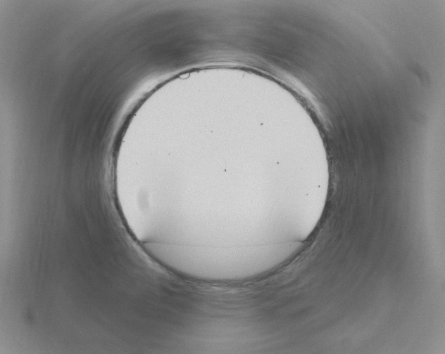 X0000115421472200912151553