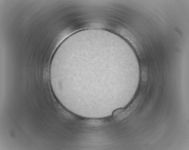 X0000115421473200912151553