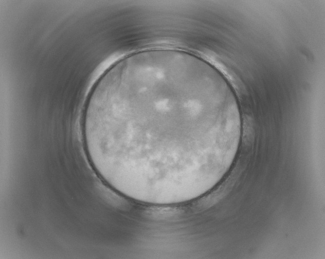 X0000115421474200912151553