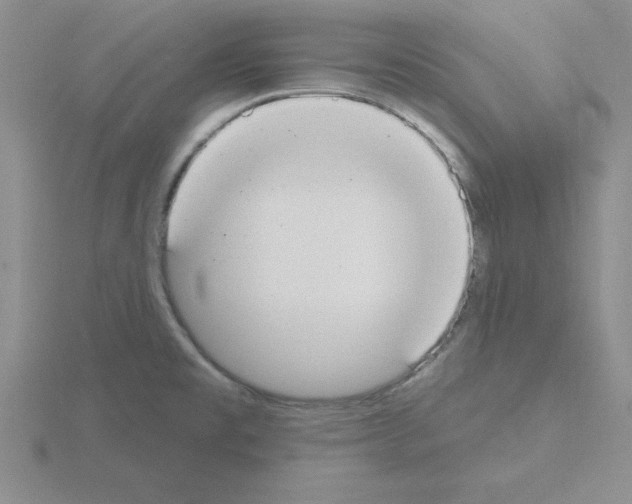 X0000115421477200912151553