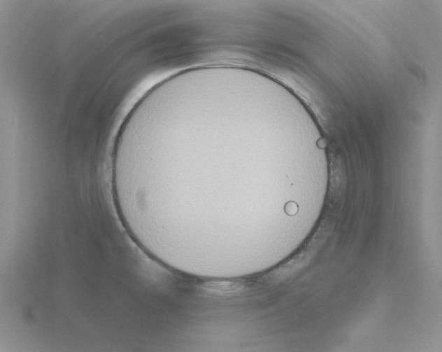 X0000115421478200912151552