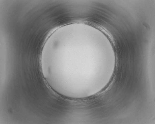 X0000115421481200912151552