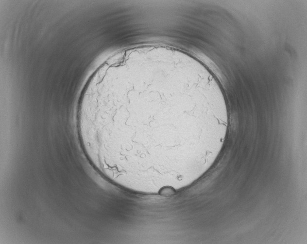 X0000115421482200912151552