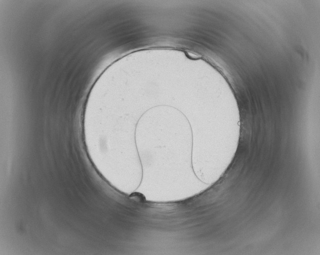 X0000115421483200912151552