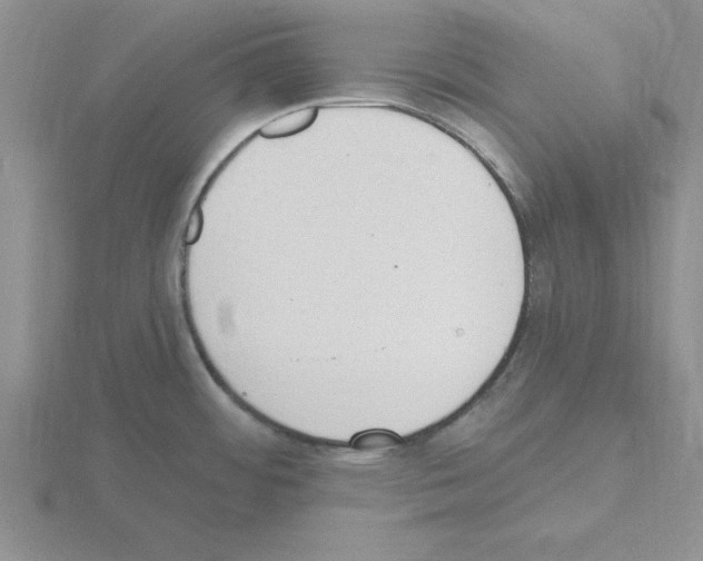 X0000115421484200912151552