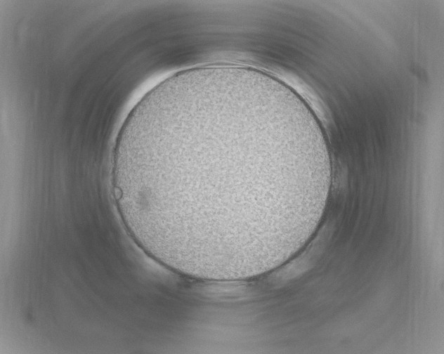 X0000115421486200912151552