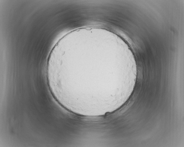 X0000115421487200912151552