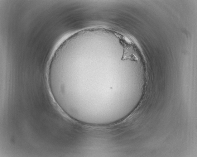 X0000115421488200912151552