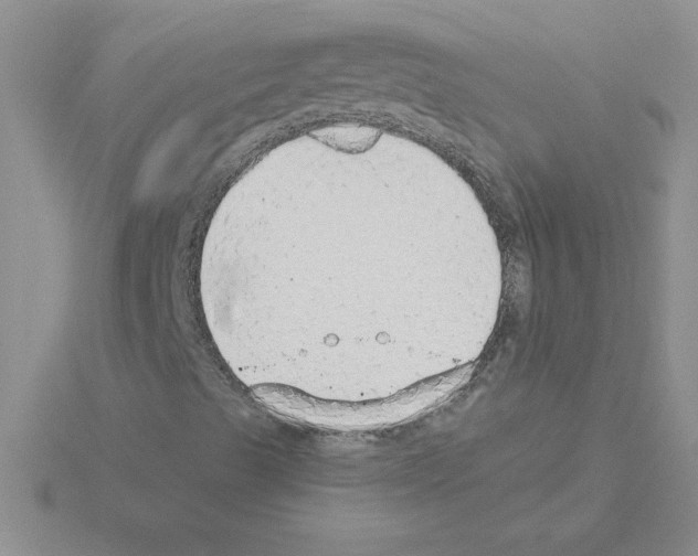 X0000115421489200912151552