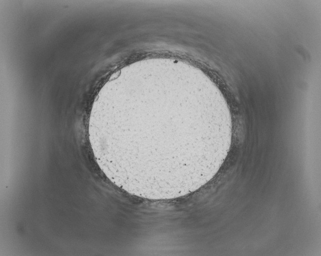 X0000115421493200912151552