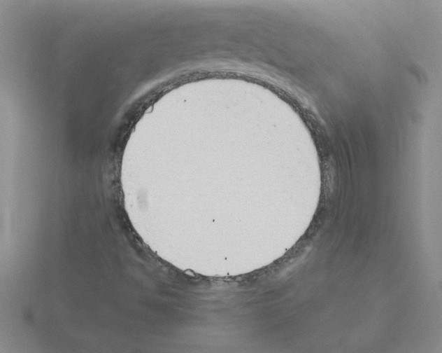 X0000115421494200912151552