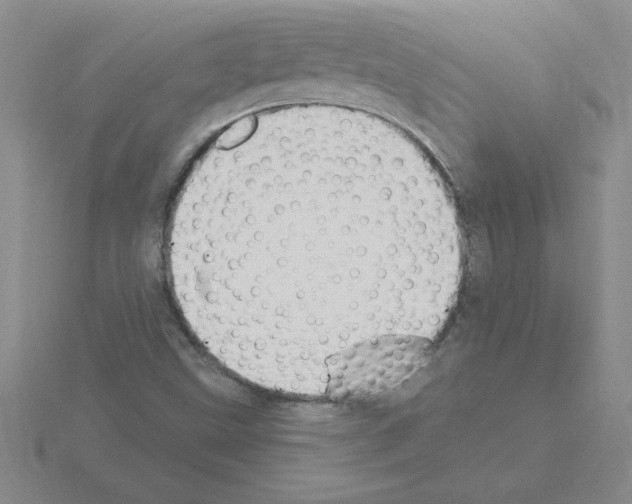 X0000115421499200912151552