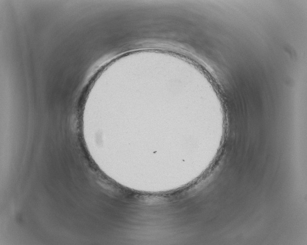 X0000115421501200912151552