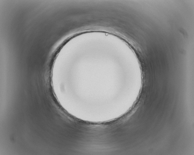 X0000115421502200912151552