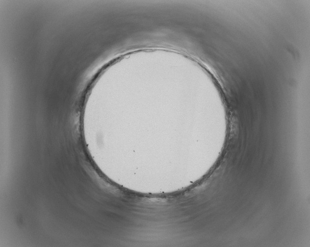 X0000115421503200912151552