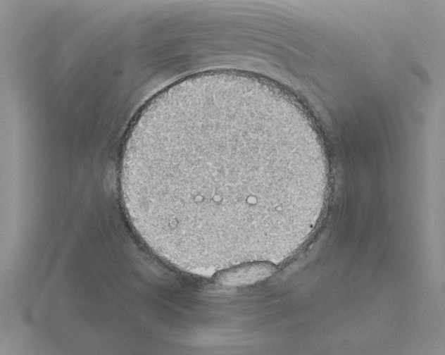 X0000115421505200912151552