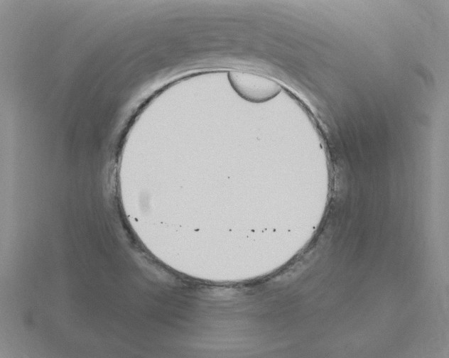 X0000115421507200912151552